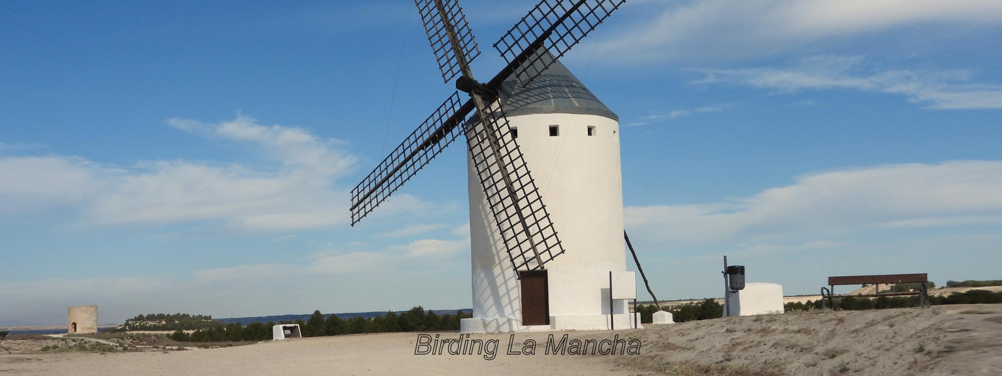 Turismo Cultural Birding La Mancha