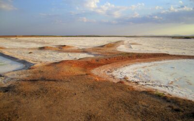 ¿Sabías que las lagunas manchegas deben secarse para seguir vivas?