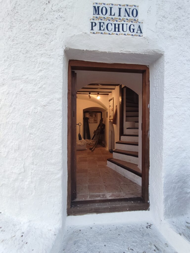 visitar-molinos-de-viento-el-romeral